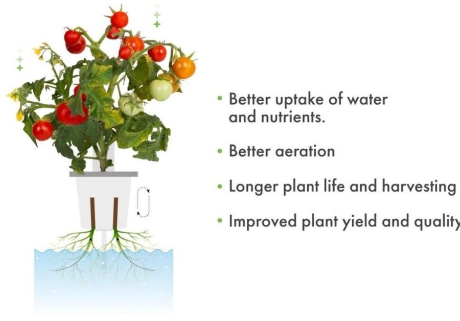 Alykkaat Kodit Click and Grow Ruoka & Viljely | Click And Grow Pro Plant Cups 9 Kpl